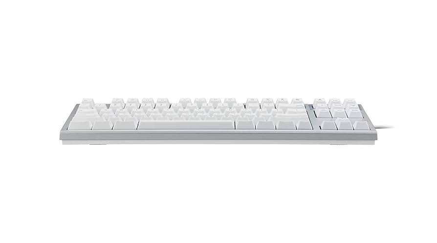 Amazon.co.jp: R2TLSA-US3M-WH(シルバー/白) REALFORCE TKL for